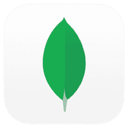 Mongodb compass